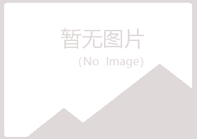 大连中山字迹咨询有限公司